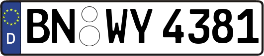 BN-WY4381