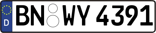 BN-WY4391