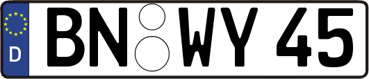 BN-WY45