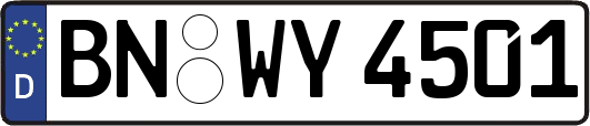 BN-WY4501