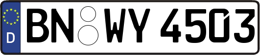 BN-WY4503