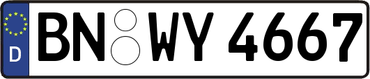 BN-WY4667