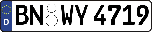 BN-WY4719