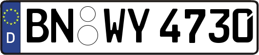 BN-WY4730