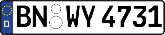 BN-WY4731