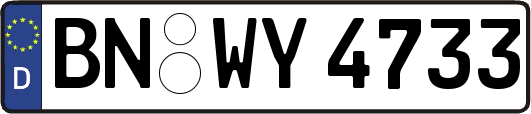 BN-WY4733