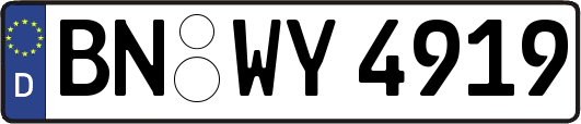 BN-WY4919