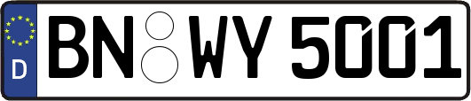 BN-WY5001