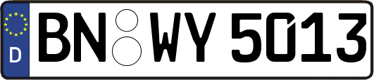 BN-WY5013