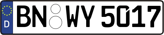 BN-WY5017