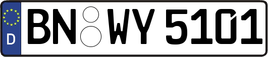 BN-WY5101