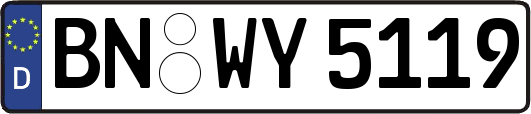 BN-WY5119