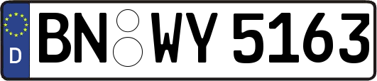 BN-WY5163