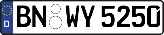 BN-WY5250
