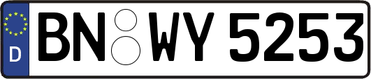 BN-WY5253