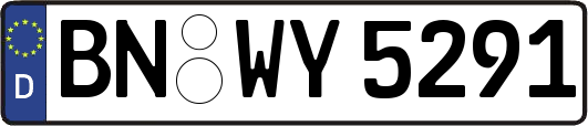 BN-WY5291