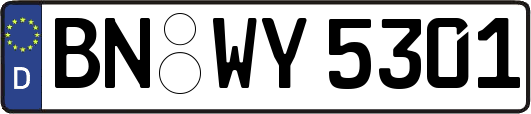 BN-WY5301