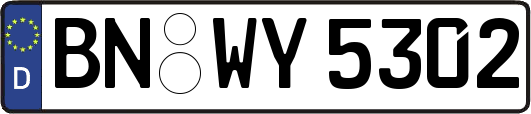 BN-WY5302
