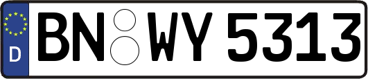 BN-WY5313