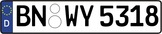 BN-WY5318