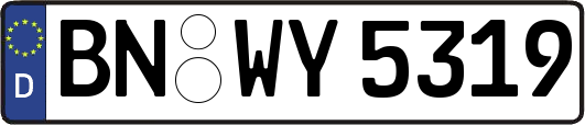 BN-WY5319