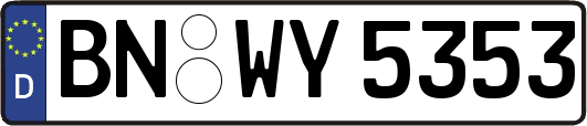 BN-WY5353