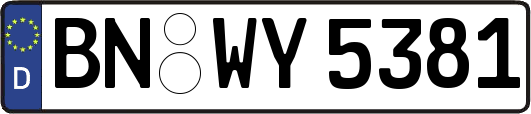 BN-WY5381