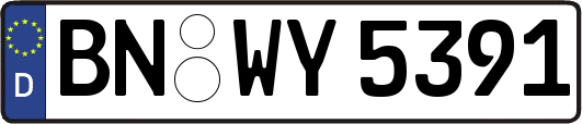 BN-WY5391