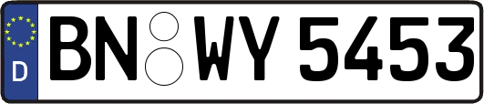 BN-WY5453