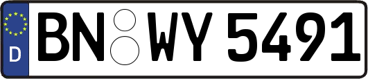 BN-WY5491