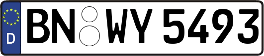 BN-WY5493