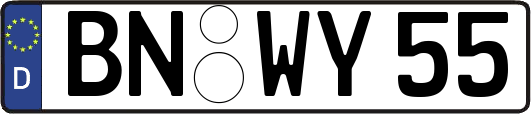 BN-WY55
