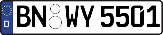 BN-WY5501