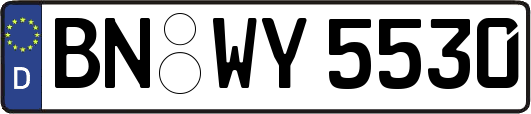 BN-WY5530