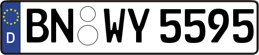 BN-WY5595