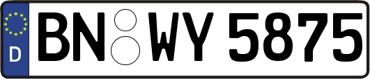 BN-WY5875