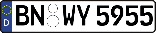 BN-WY5955