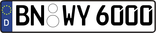 BN-WY6000