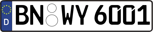 BN-WY6001