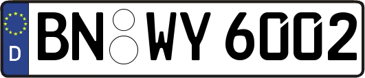 BN-WY6002