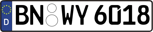 BN-WY6018