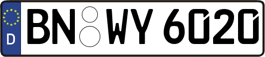 BN-WY6020