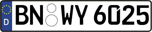 BN-WY6025