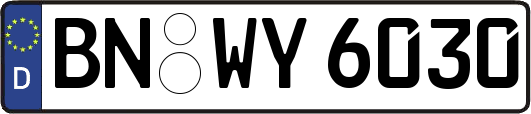 BN-WY6030