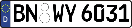 BN-WY6031