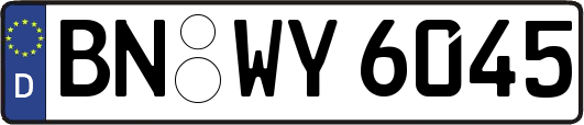 BN-WY6045