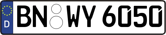 BN-WY6050