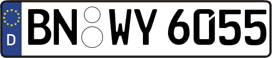 BN-WY6055