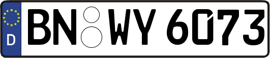 BN-WY6073
