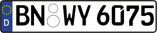 BN-WY6075